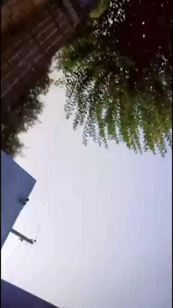 @🦋🖤✈️