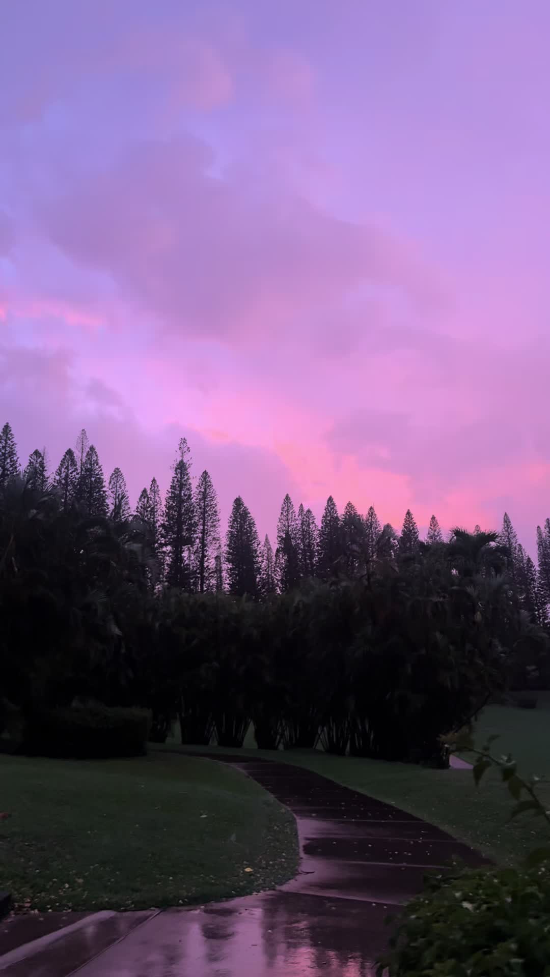 @Mauilani