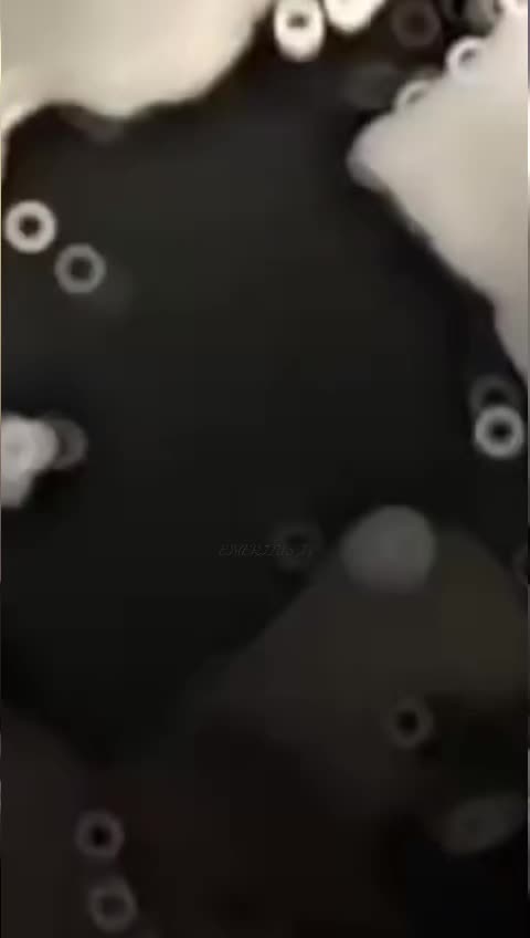 @𝐄𝐌𝐄𝐑𝐈𝐓𝐔𝐒⛧𝕀𝕍🇭🇳