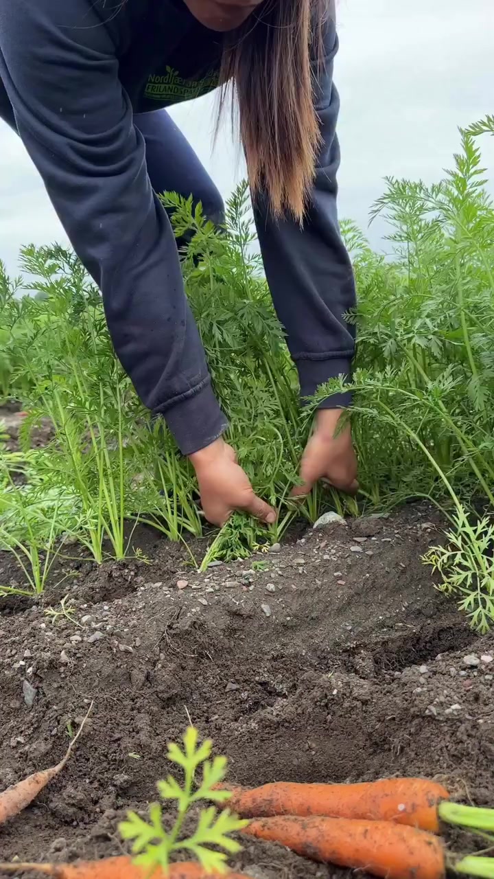 @Zortrax Agriculture Inc