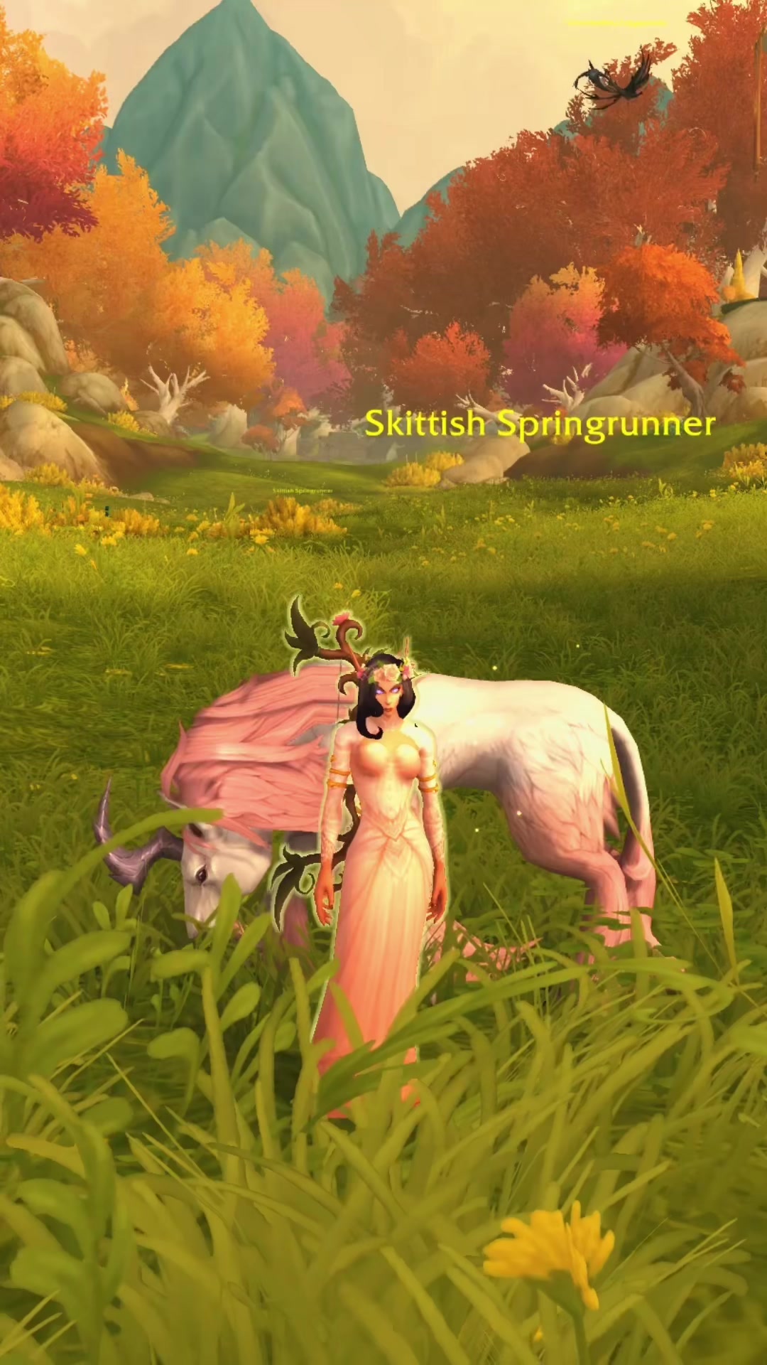 @TabbyKatGaming | WoW Guides