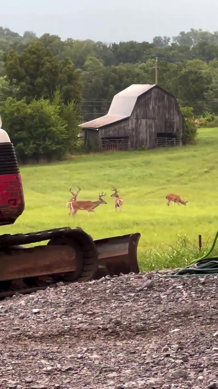 @Buckmasters Outdoors
