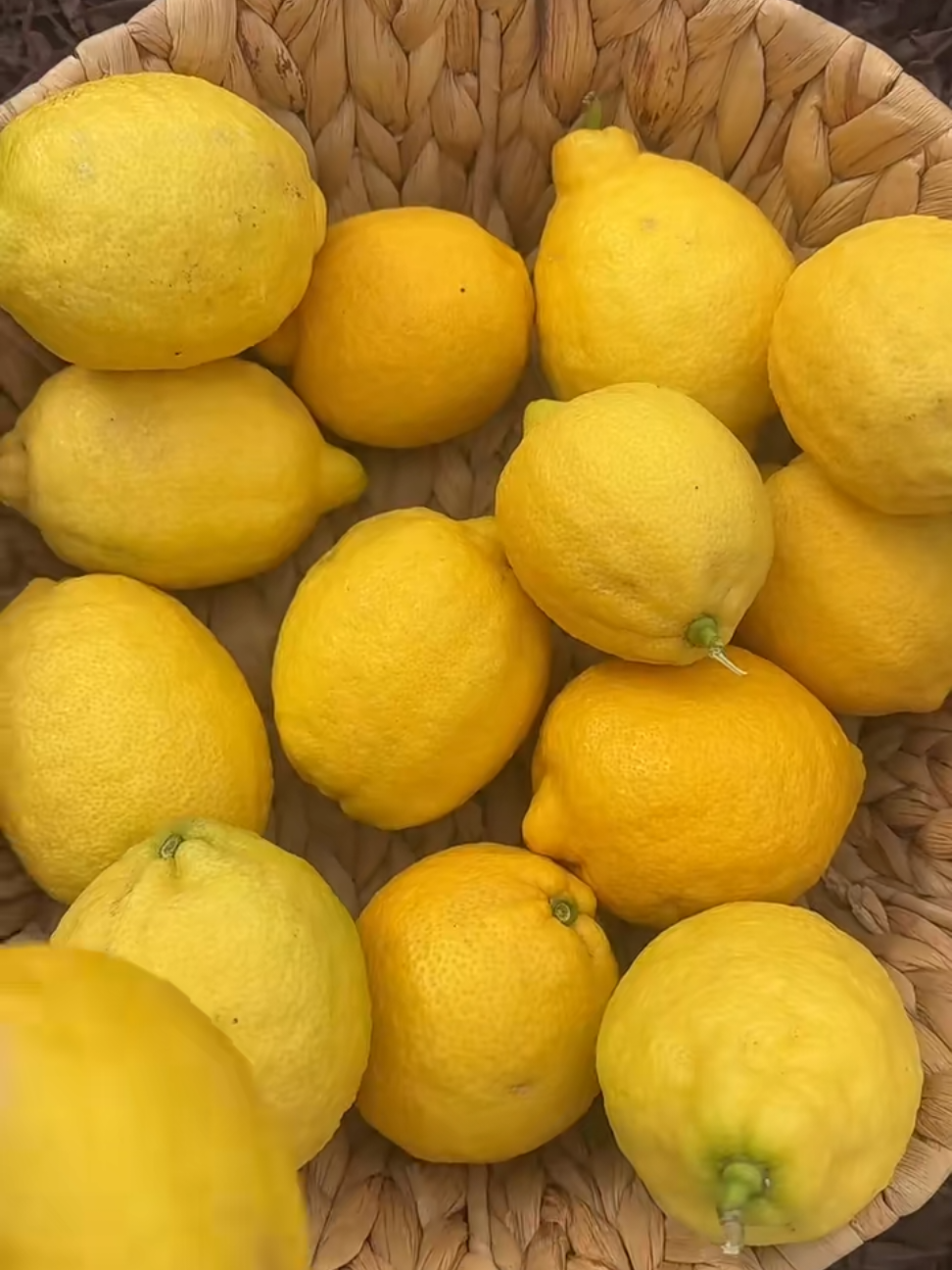 @S&igrave;yu&egrave; Finds 🛍 🍅🫐🥦🍎