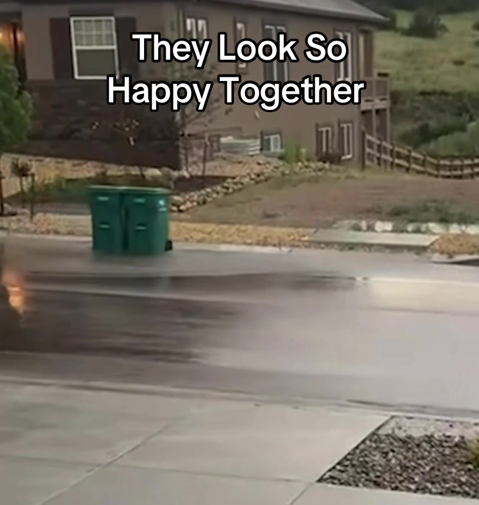 @BeautDad