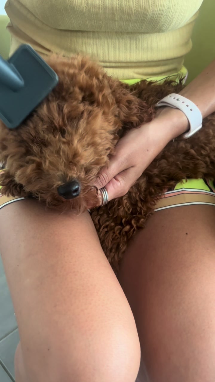 @Chiara e Rey 🐶🤎