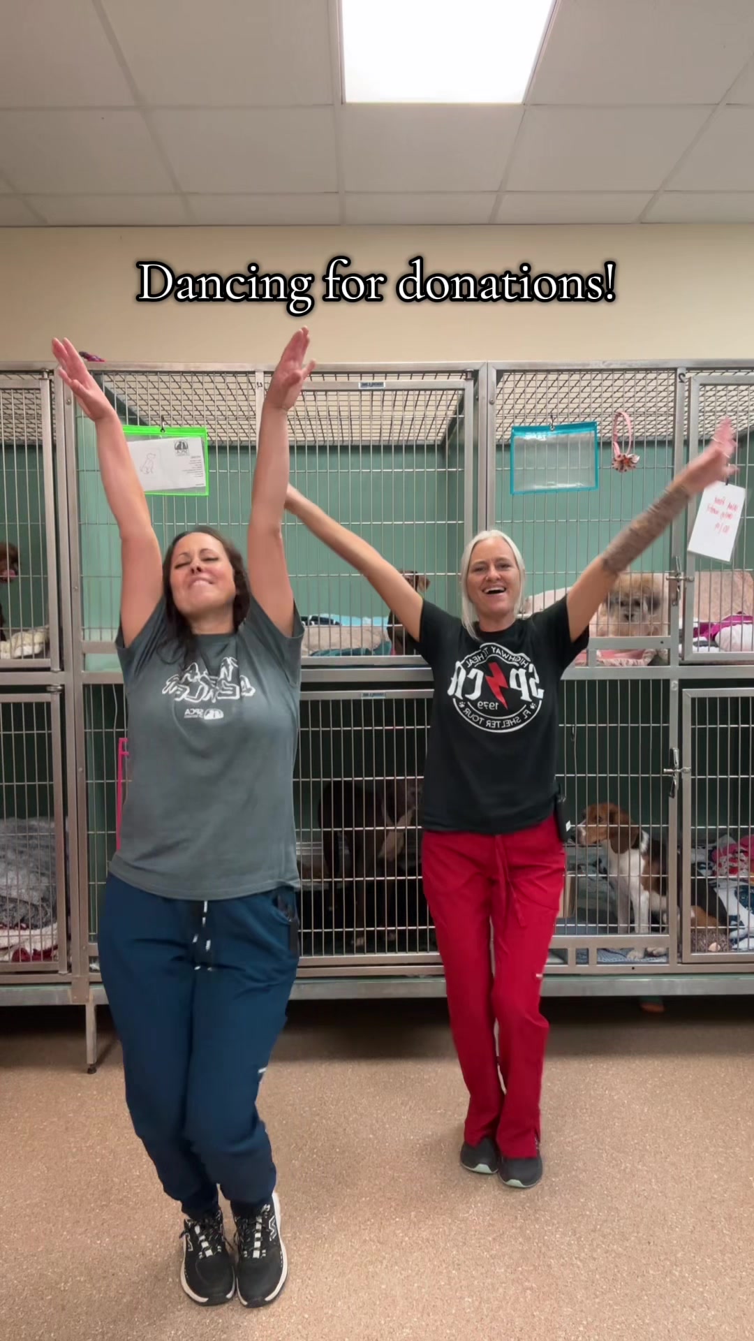 @2vettechs