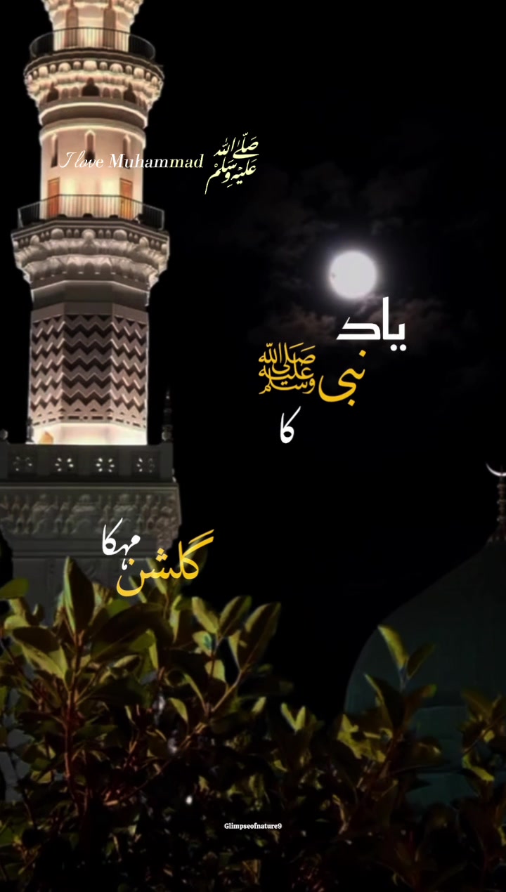 @Amna Mir❥