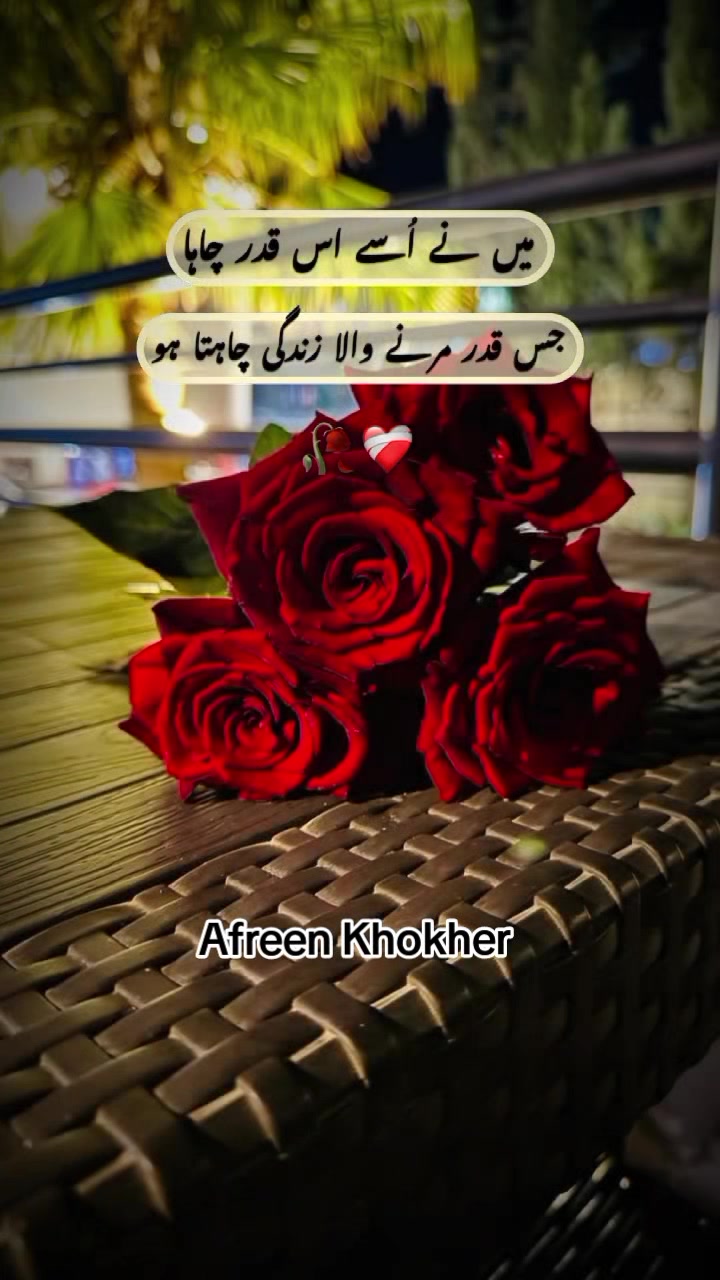 @Afreen khokher ✨