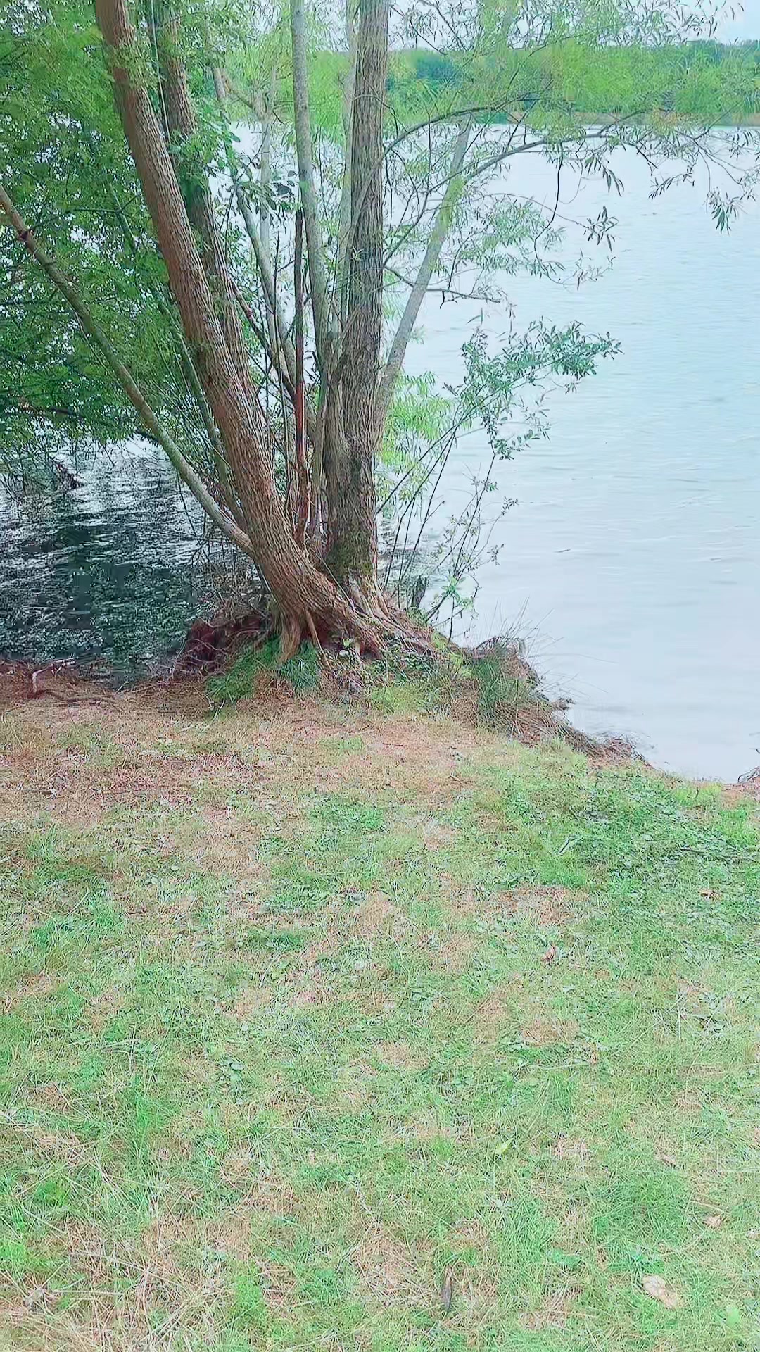 @crackpathan36