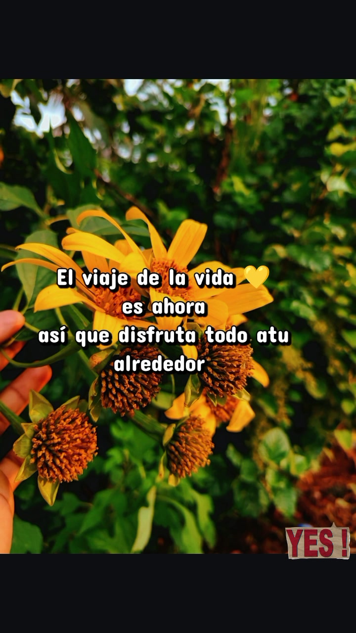 @Soy el Samy&mdash;_&mdash;@ Plan agrario