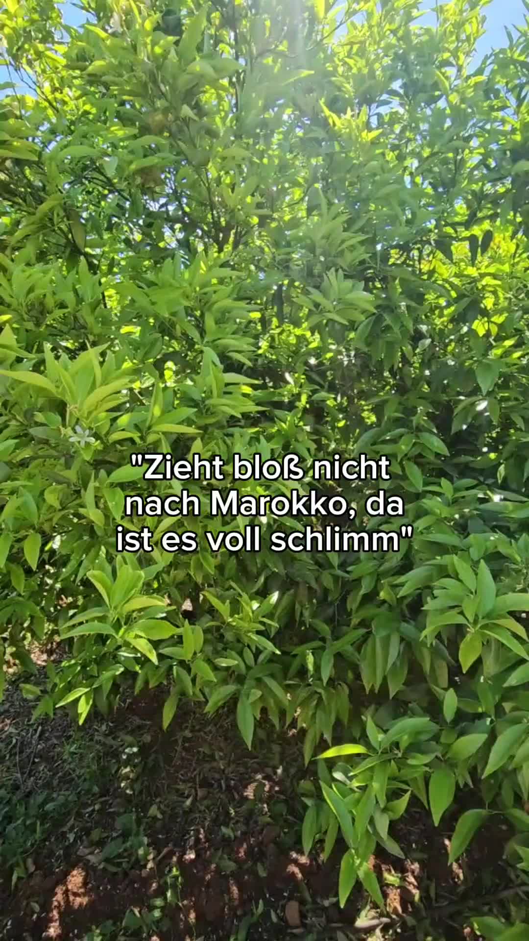 @Kathrin Lindner