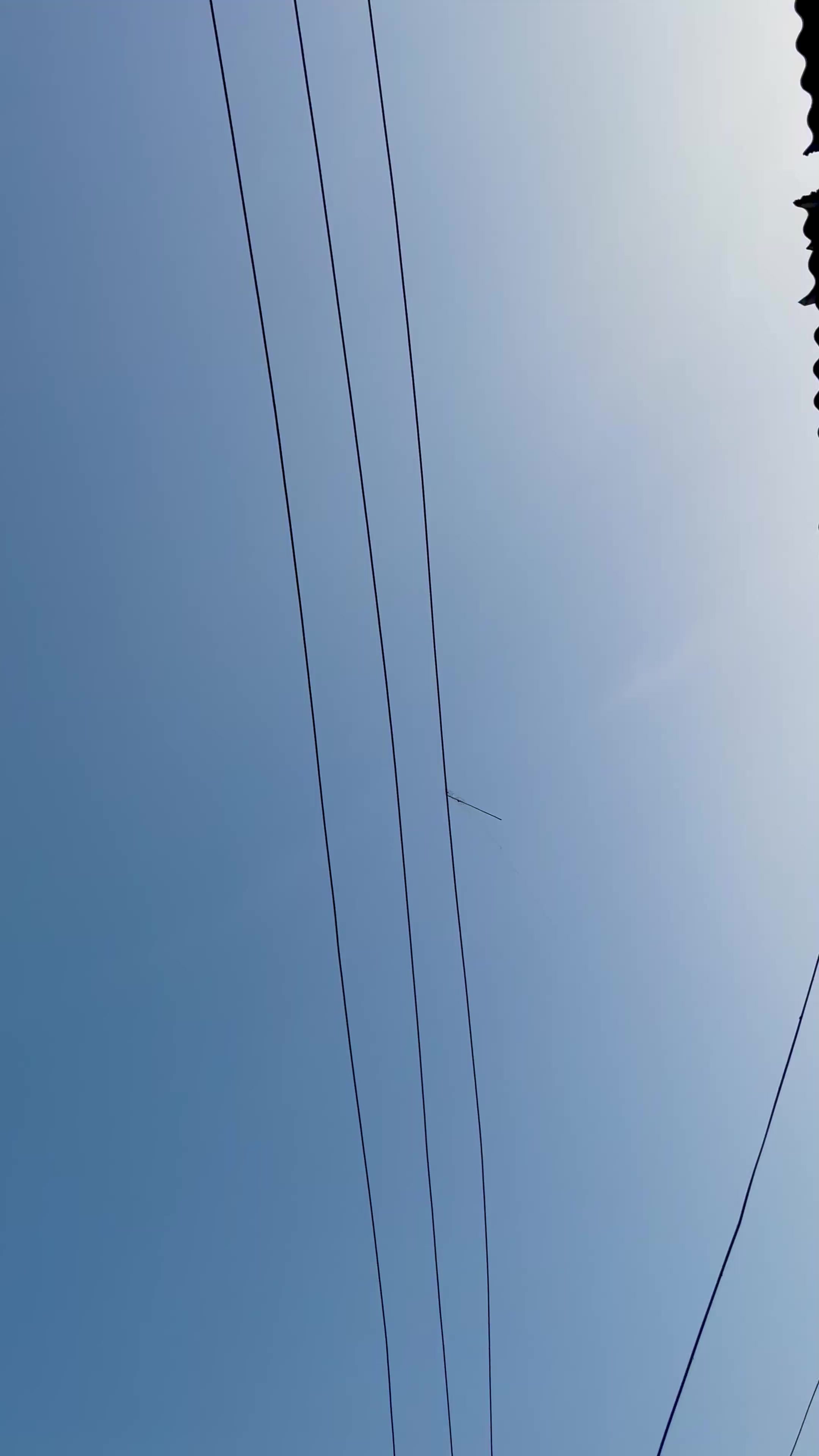 @🦅سلیم خان چپل سٹور زید ہ🦅
