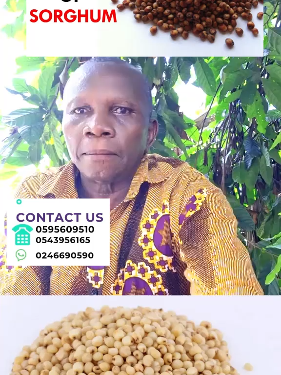 @Agadarko Media