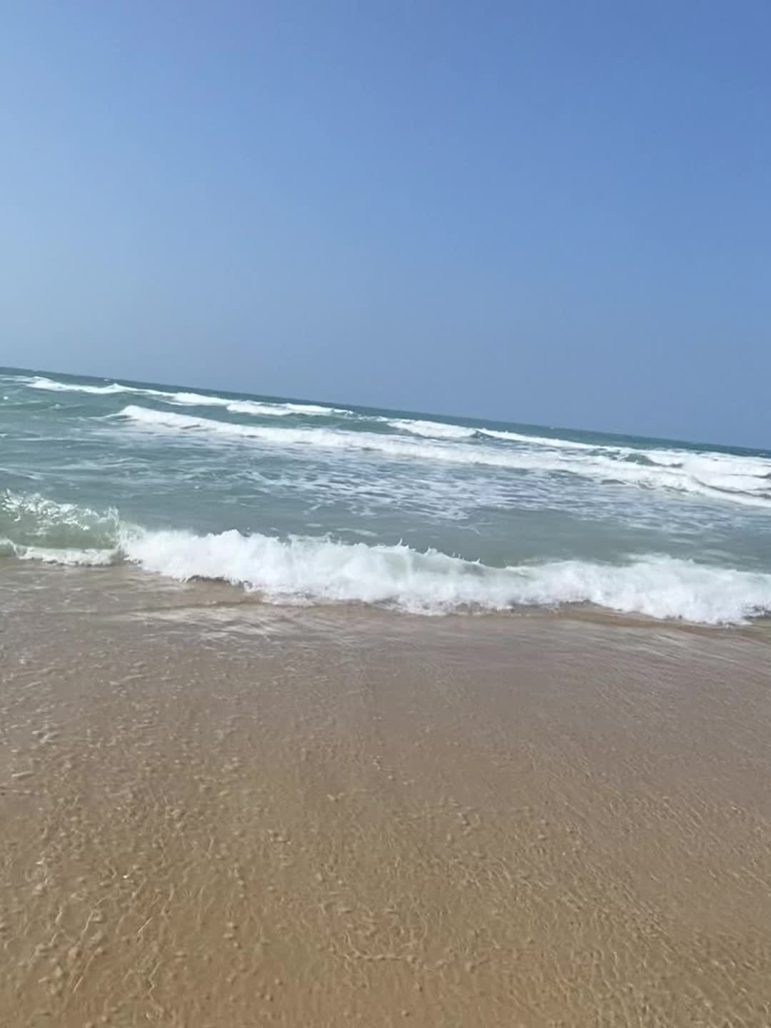 @Vit&oacute;rinha