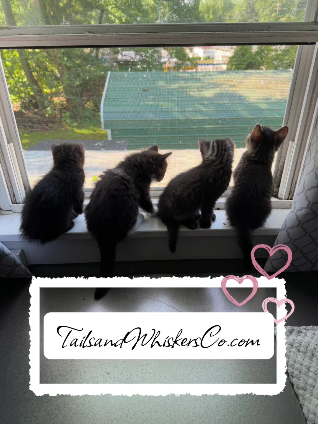 @TailsandWhiskersCo