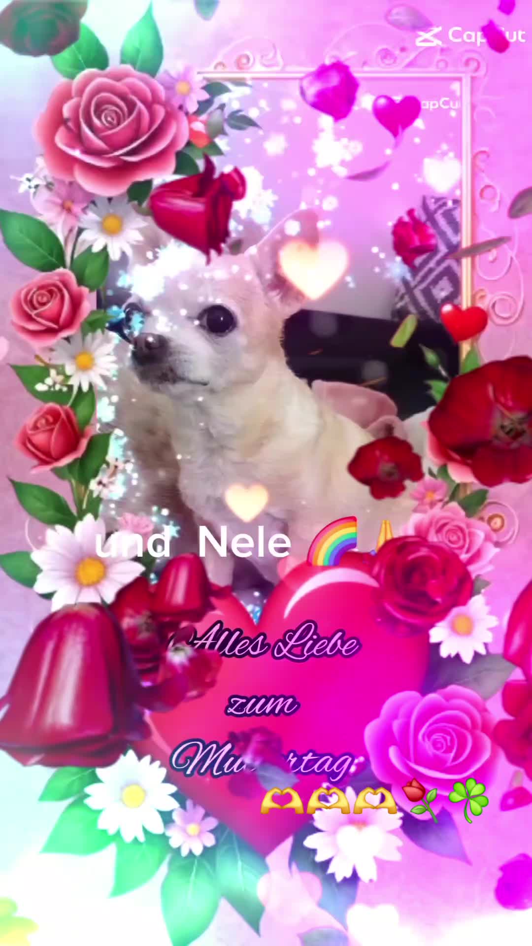 @Zweihorn