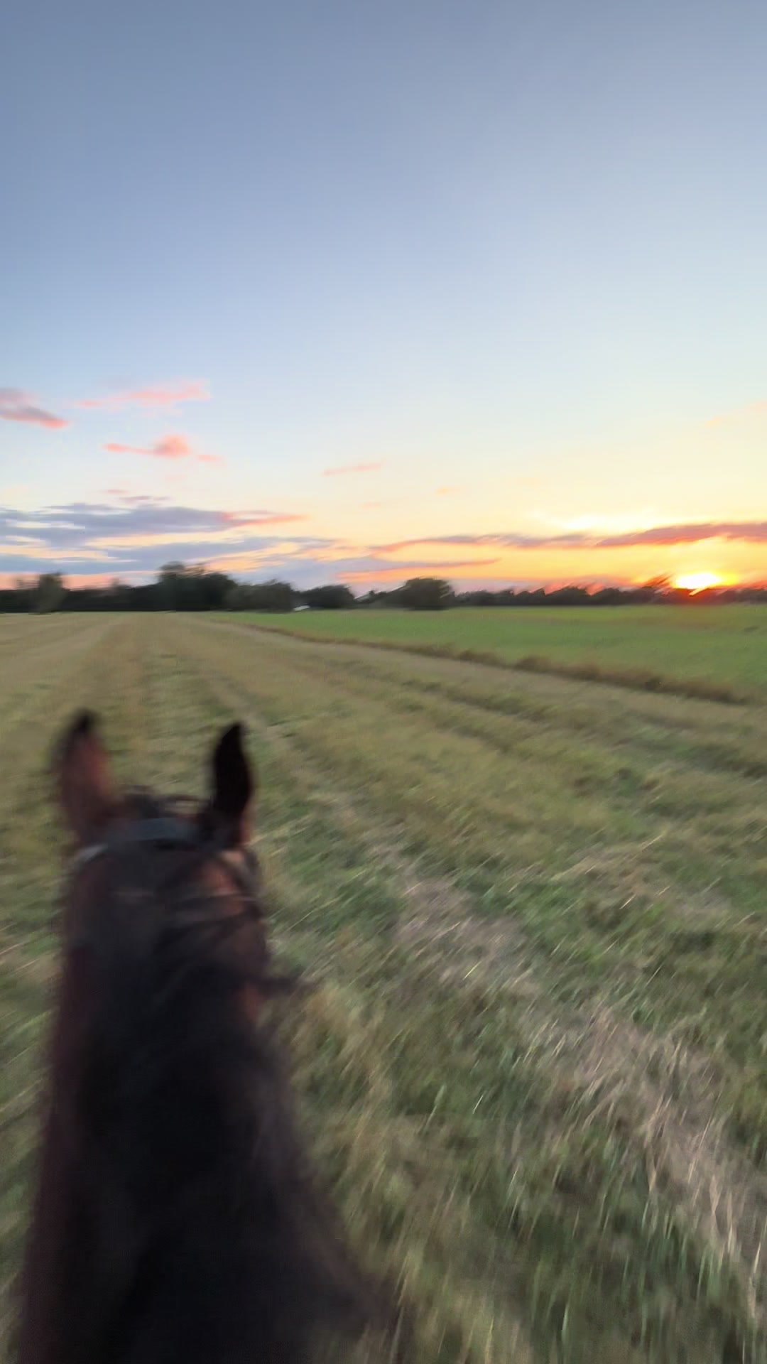 @🐎𝕄𝕒𝕣𝕚𝕒𝕟𝕟𝕒💕