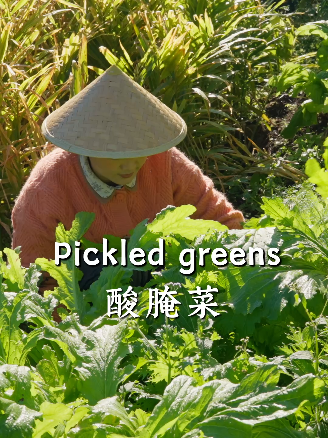 @滇西小哥 Dianxixiaoge