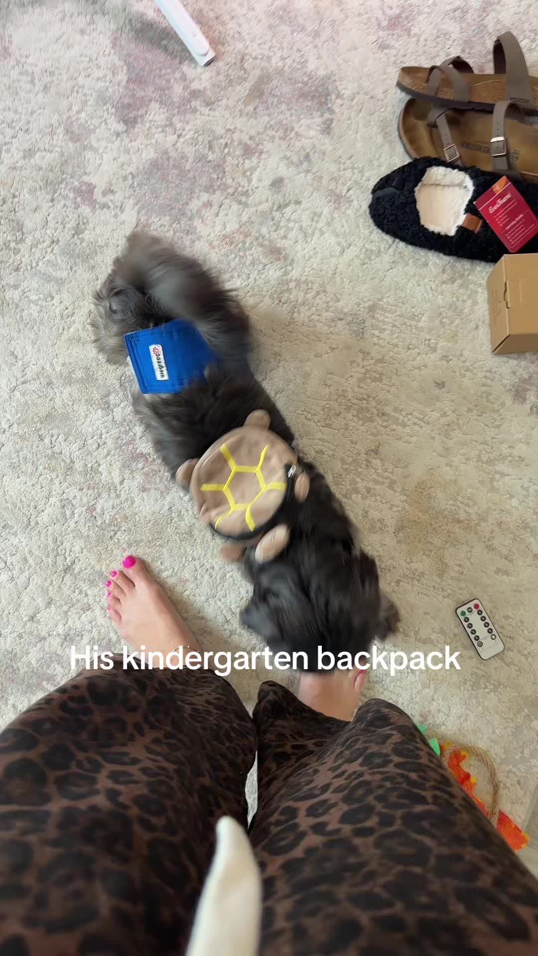 @mjvanicek