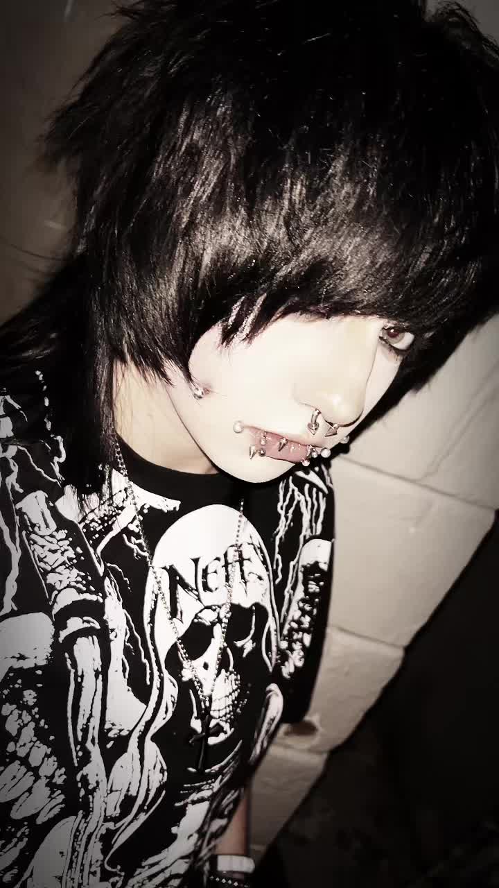 @dogferatu