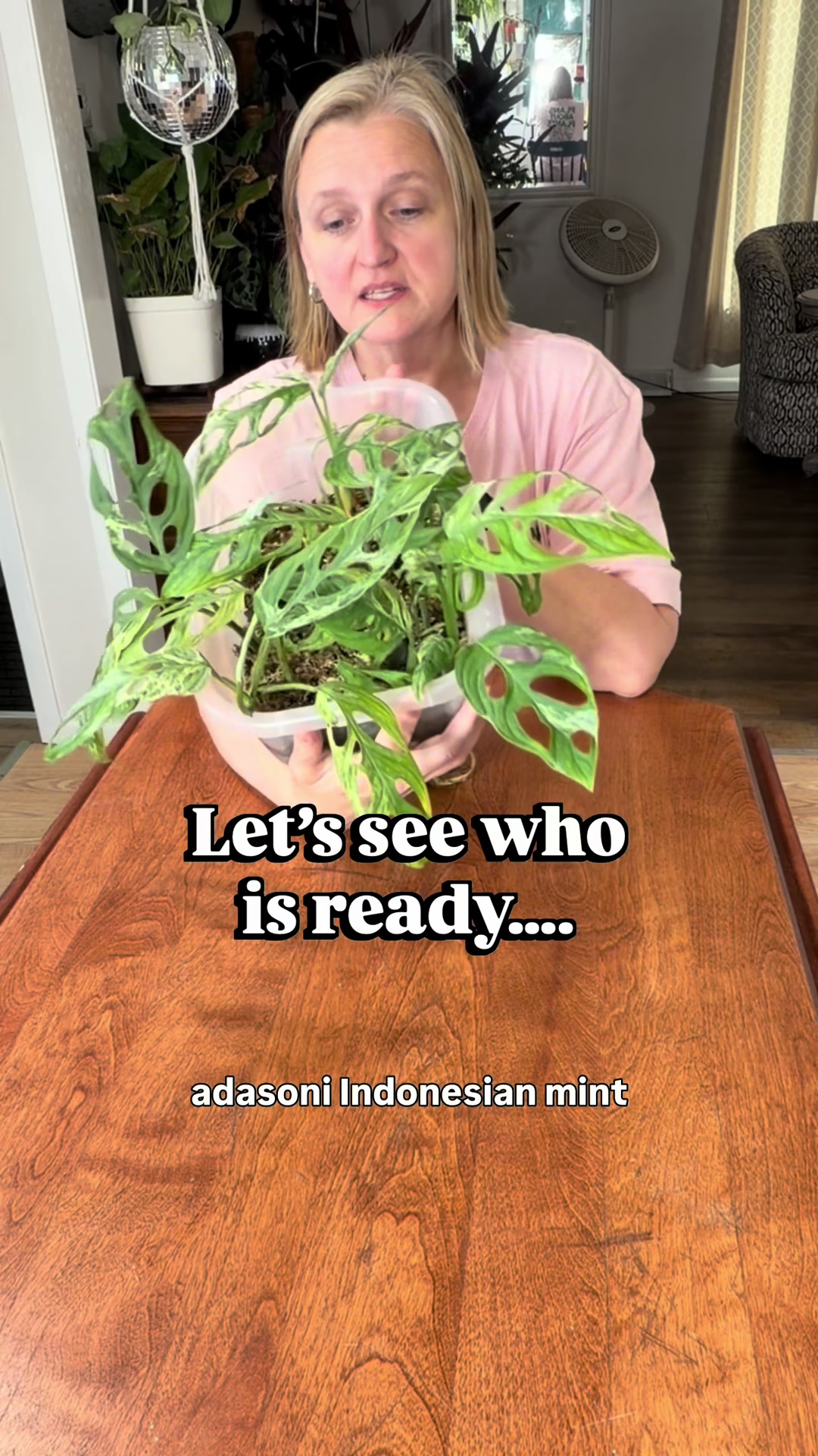 @Pothosiblyaboutplants