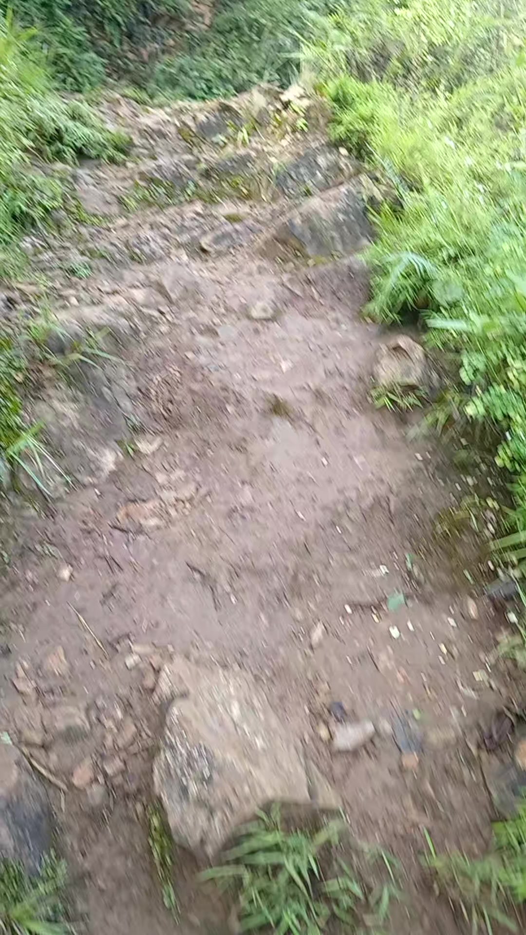 @SA बिना 💍🌒🦋