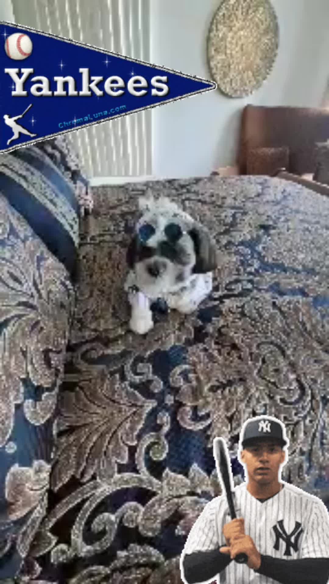 @finn2nyc
