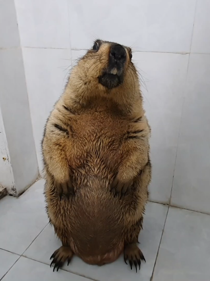 @YêuYêu