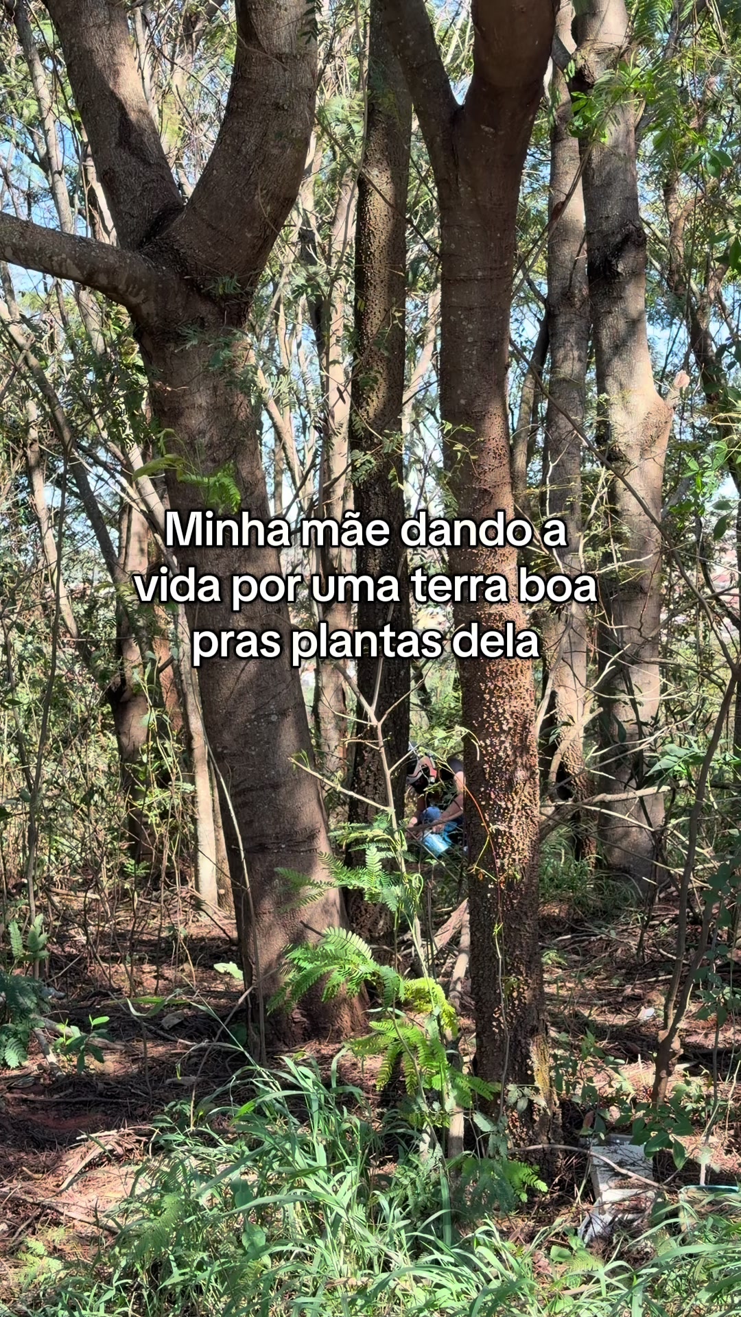 @Daniela Bettini