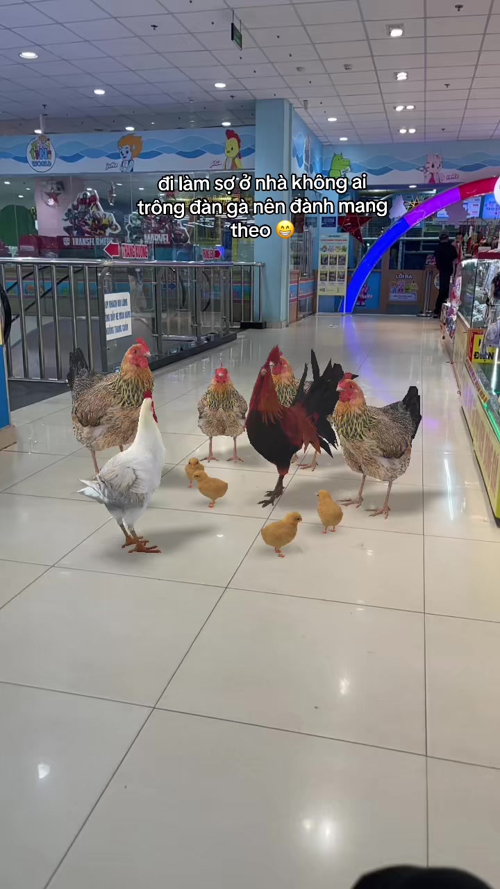 @Phượng th&iacute;ch ngắm m&acirc;y
