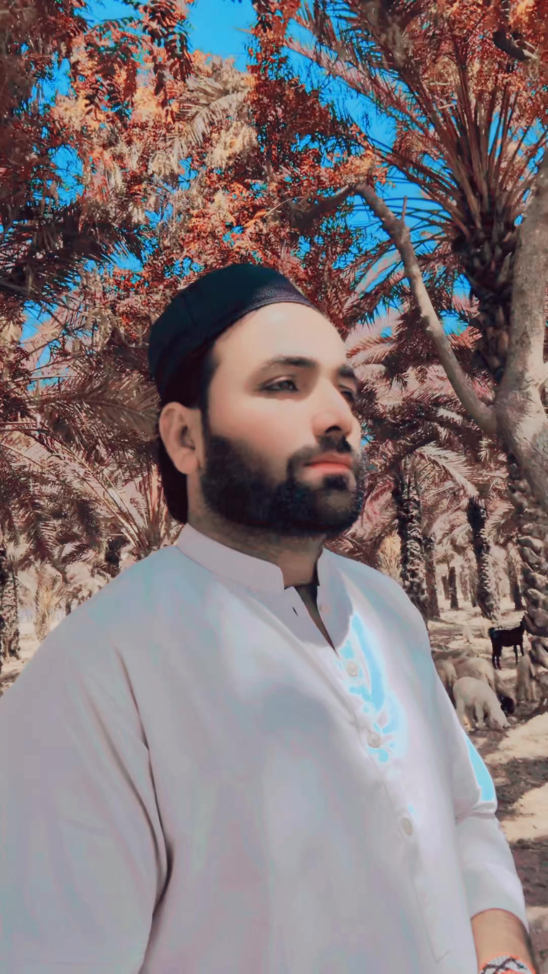 @Mashooq Ali