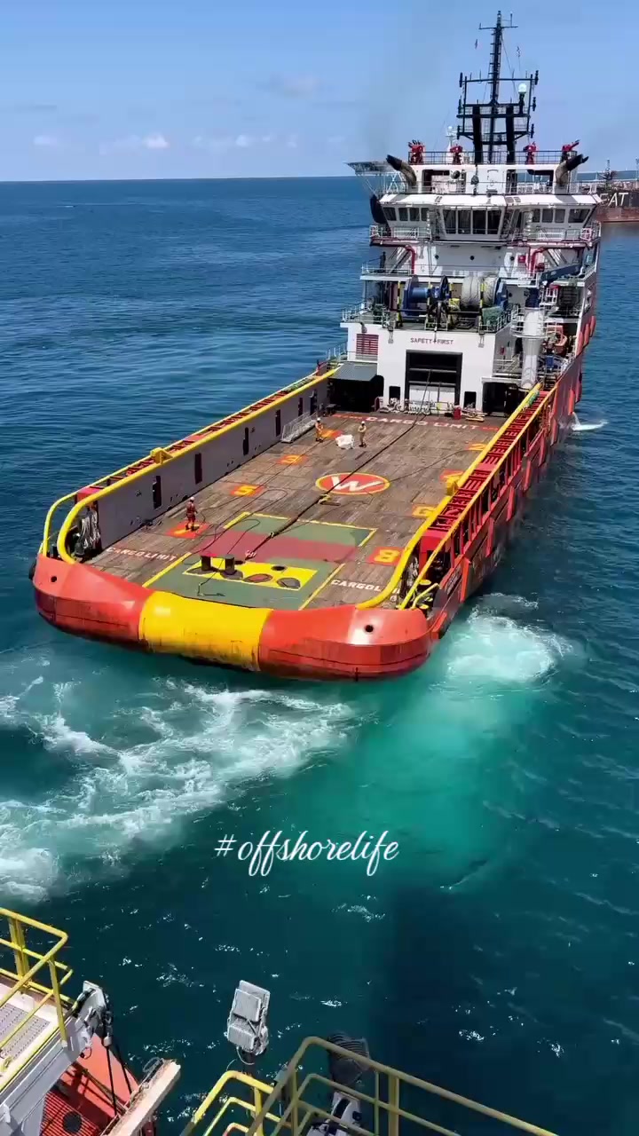 @DXD ⚓🦅