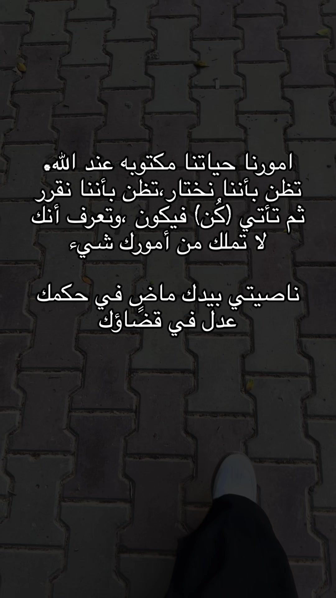 @alaa🦋🤍