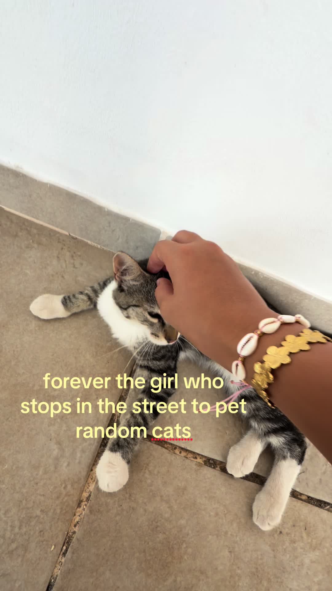 @𝐌🪼