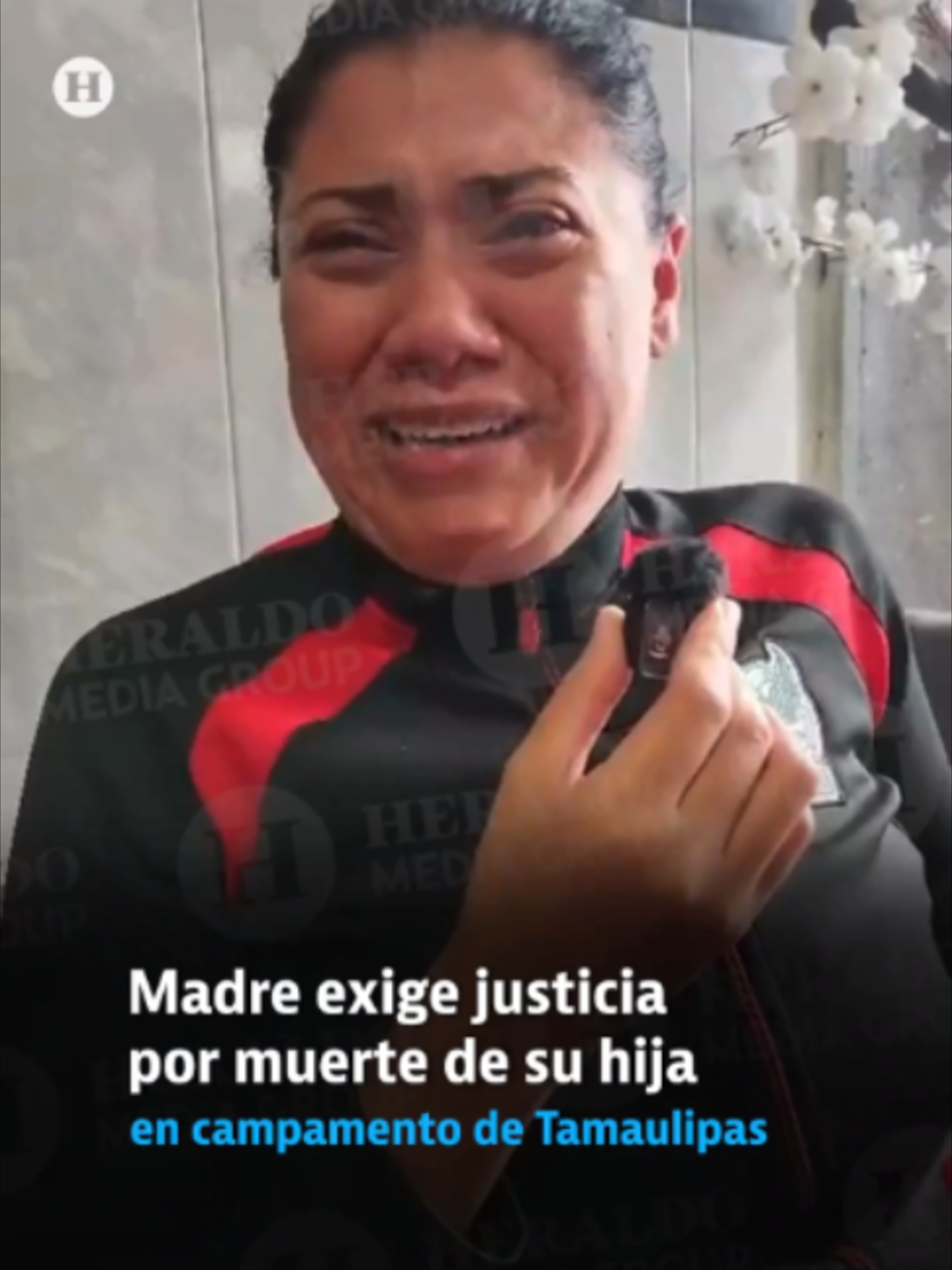 @elheraldodemexico