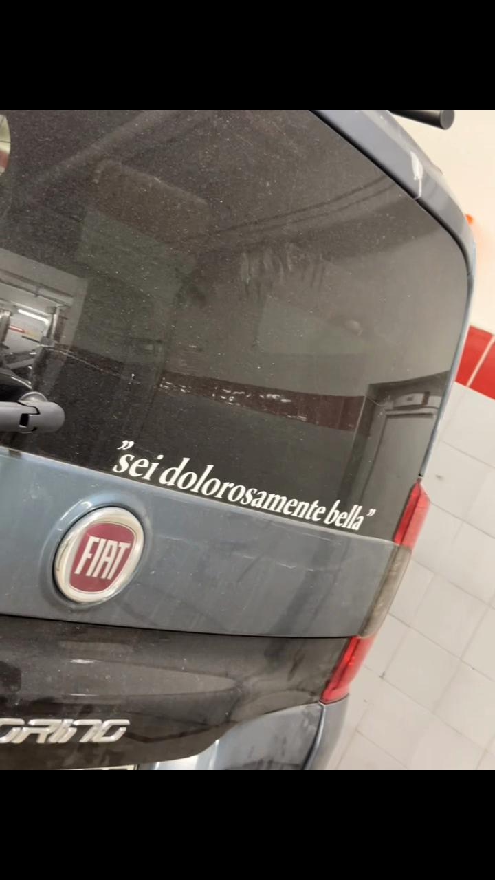 @𝑺𝑬𝑭𝑨✌️