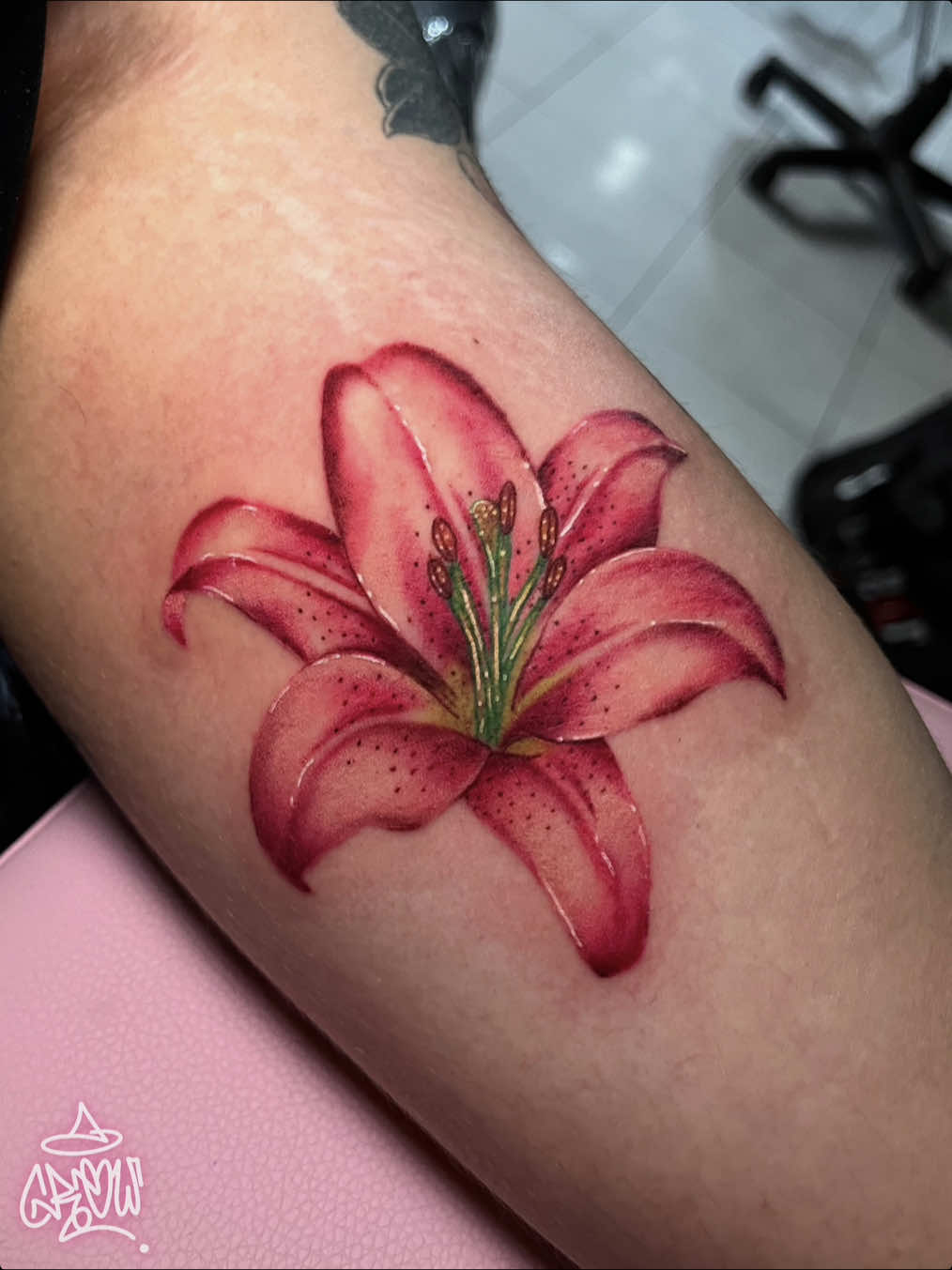@agathacrow.tattoo