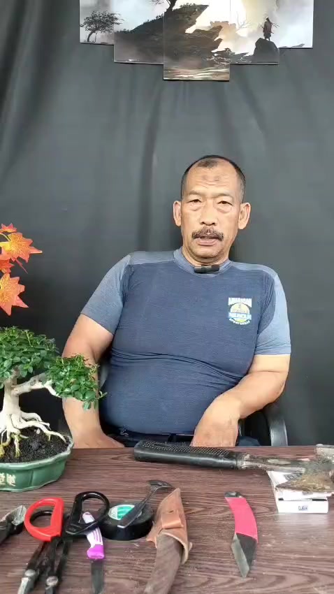 @Patroli 7
