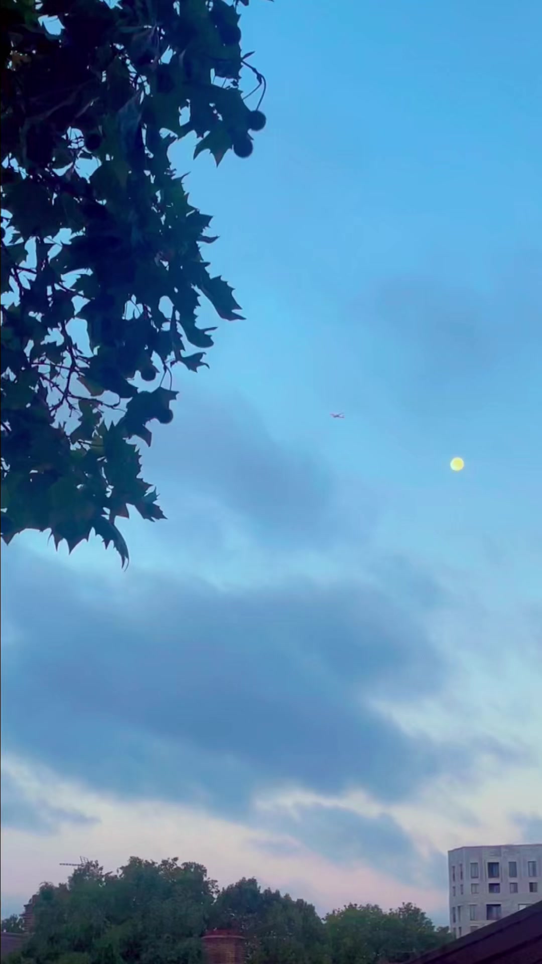 @Musafîr🧿🪬