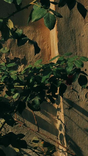 @TĦ&Ecirc; &Euml;Ň&ETH;