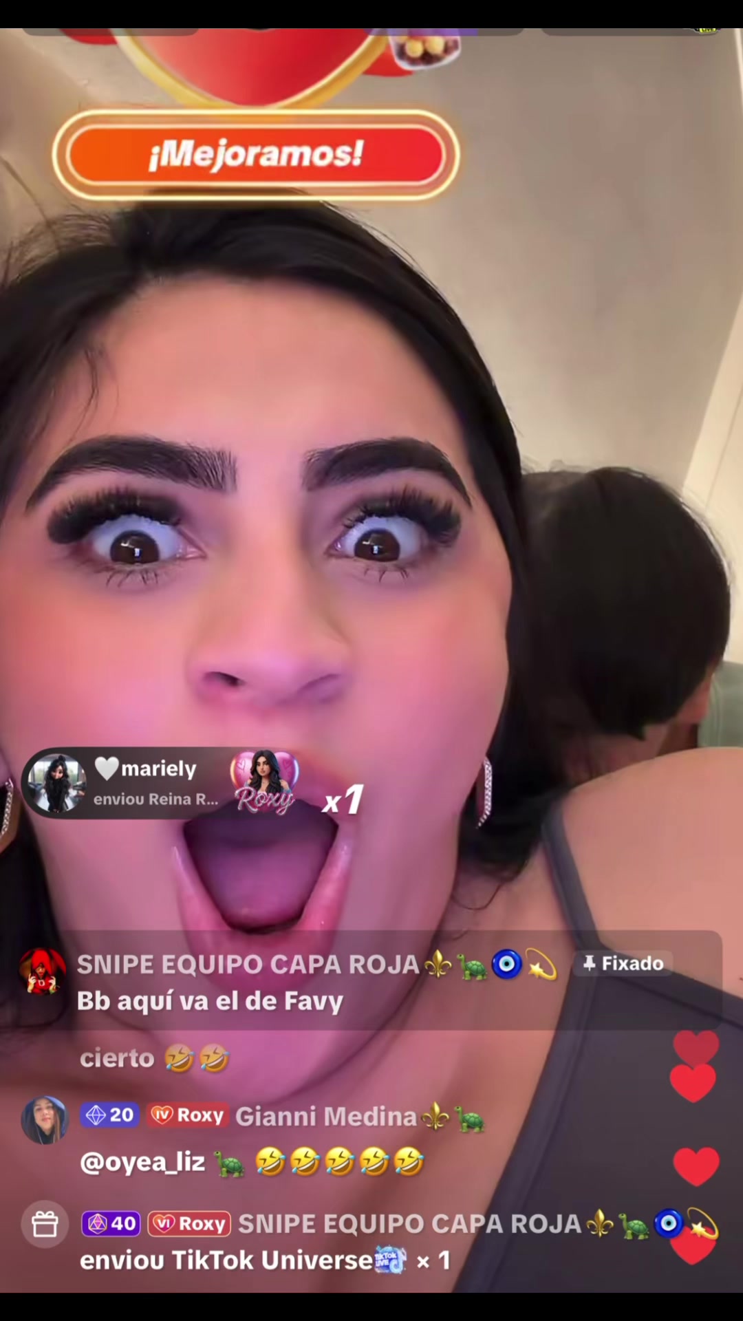 @Junirox Brasil 🇧🇷🐯💚🐢