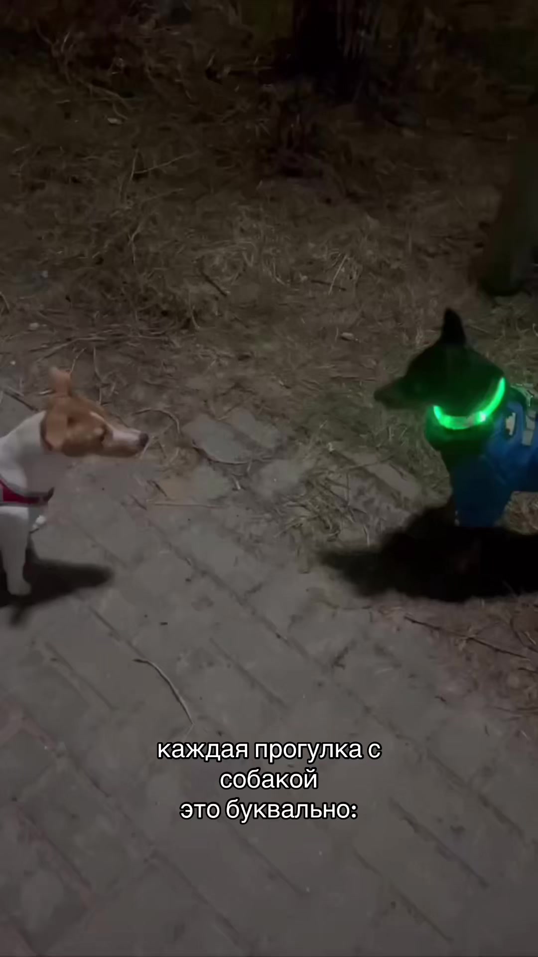 @яночка🤡