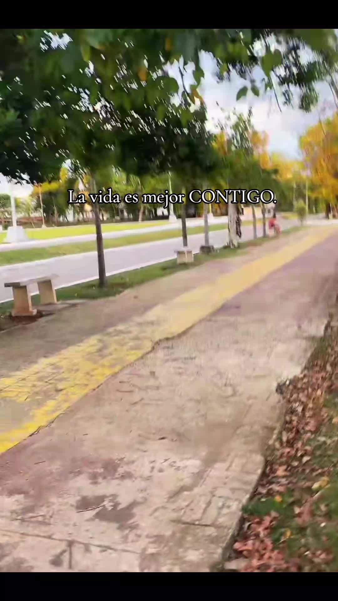@rodriiguiit00