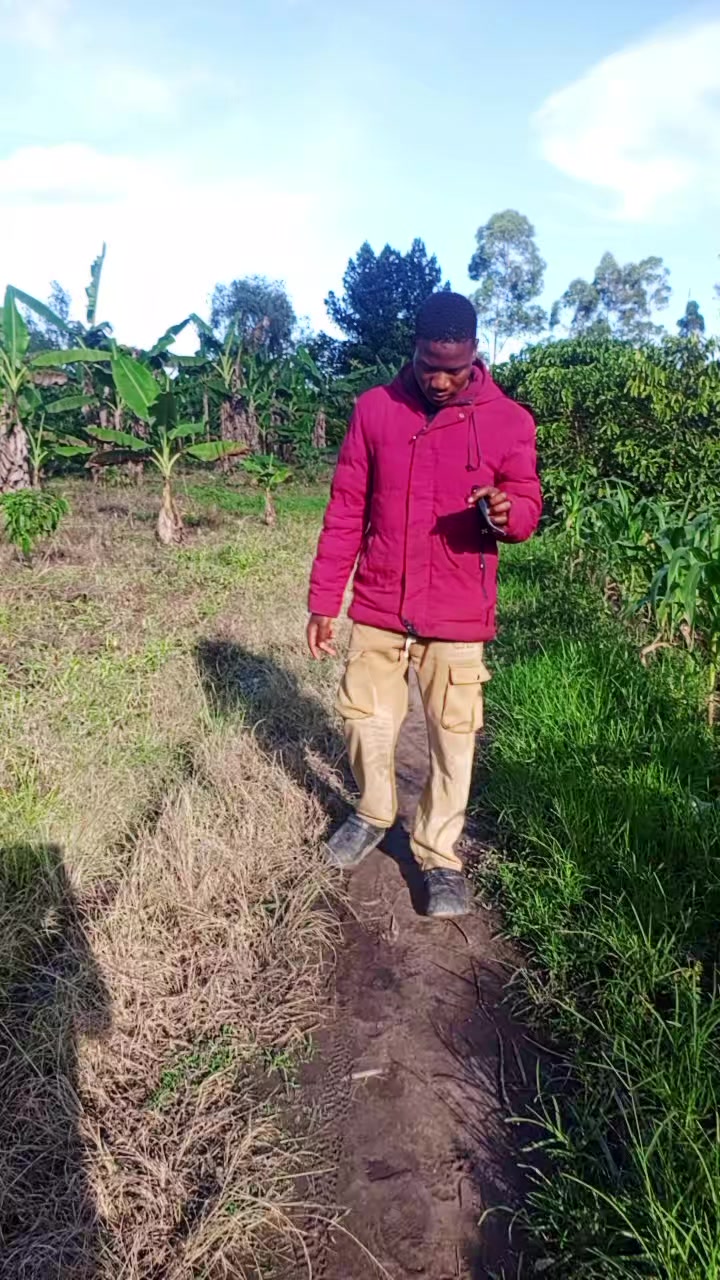 @Sadais256