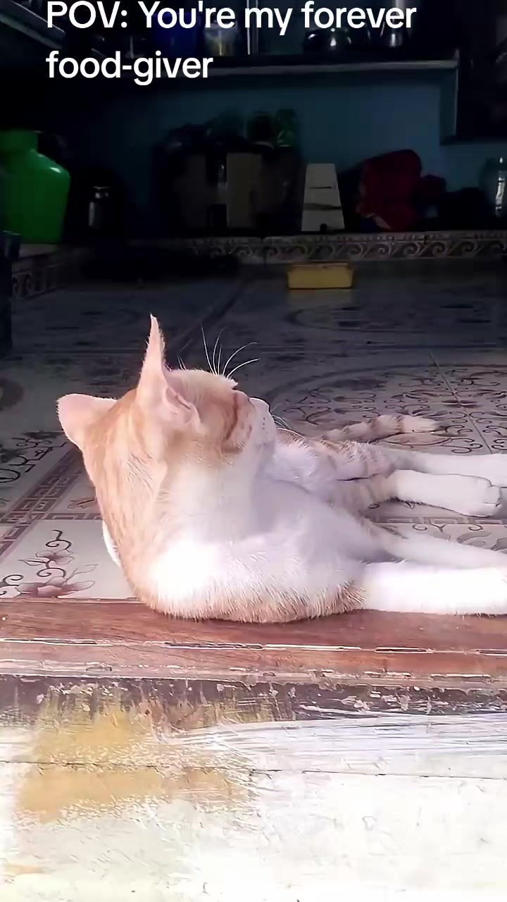 @Nandhu D e e p a