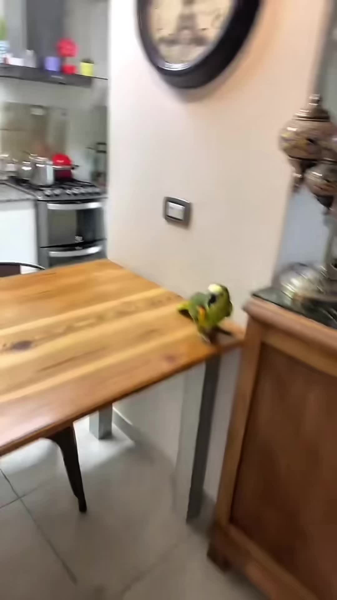 @Mister.Pepo