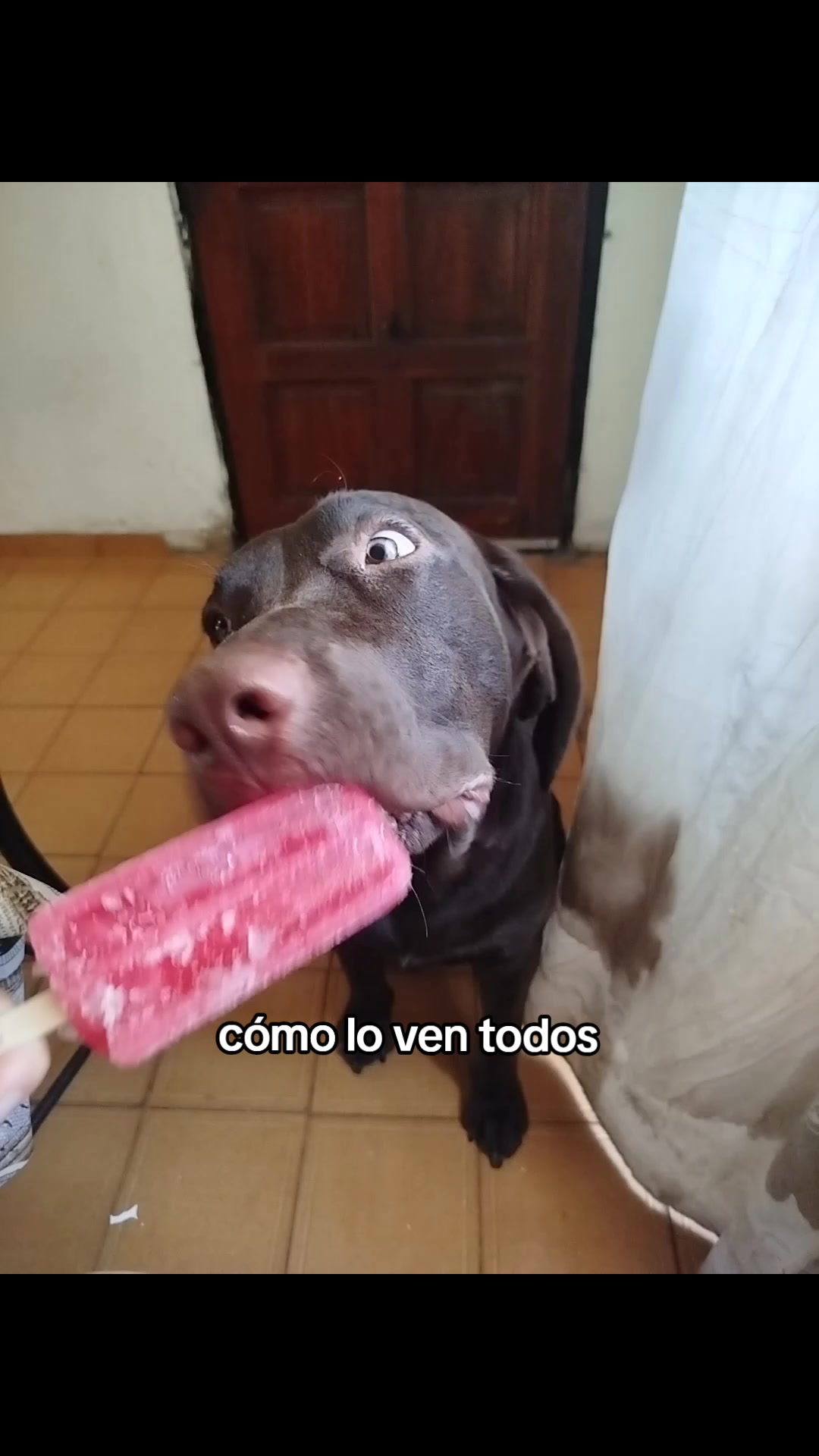 @celee