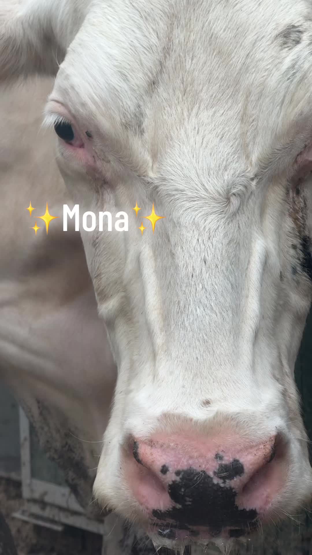 @𐌂𐋅𐌀𐌍𐌕𐌀𐌋🌚