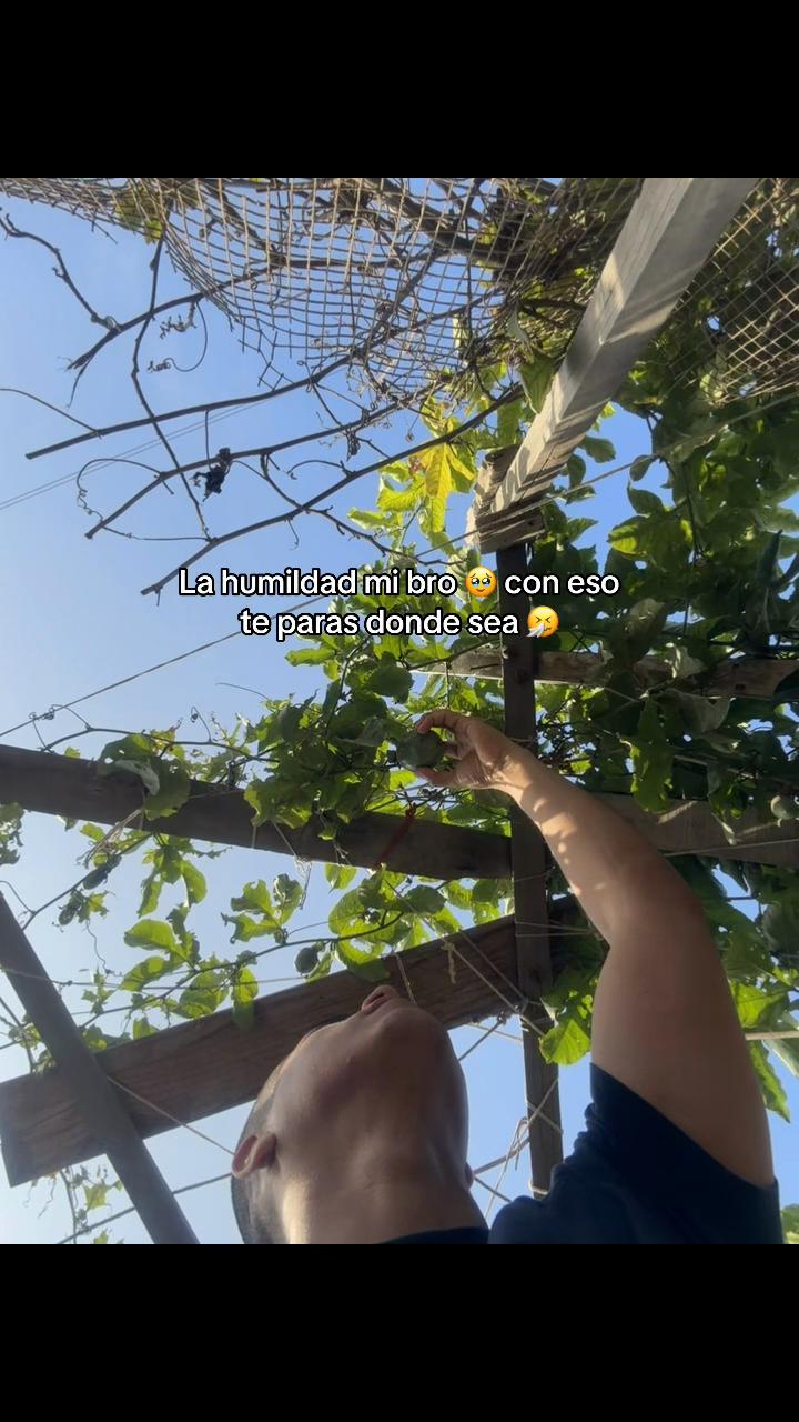 @julio de la cruz