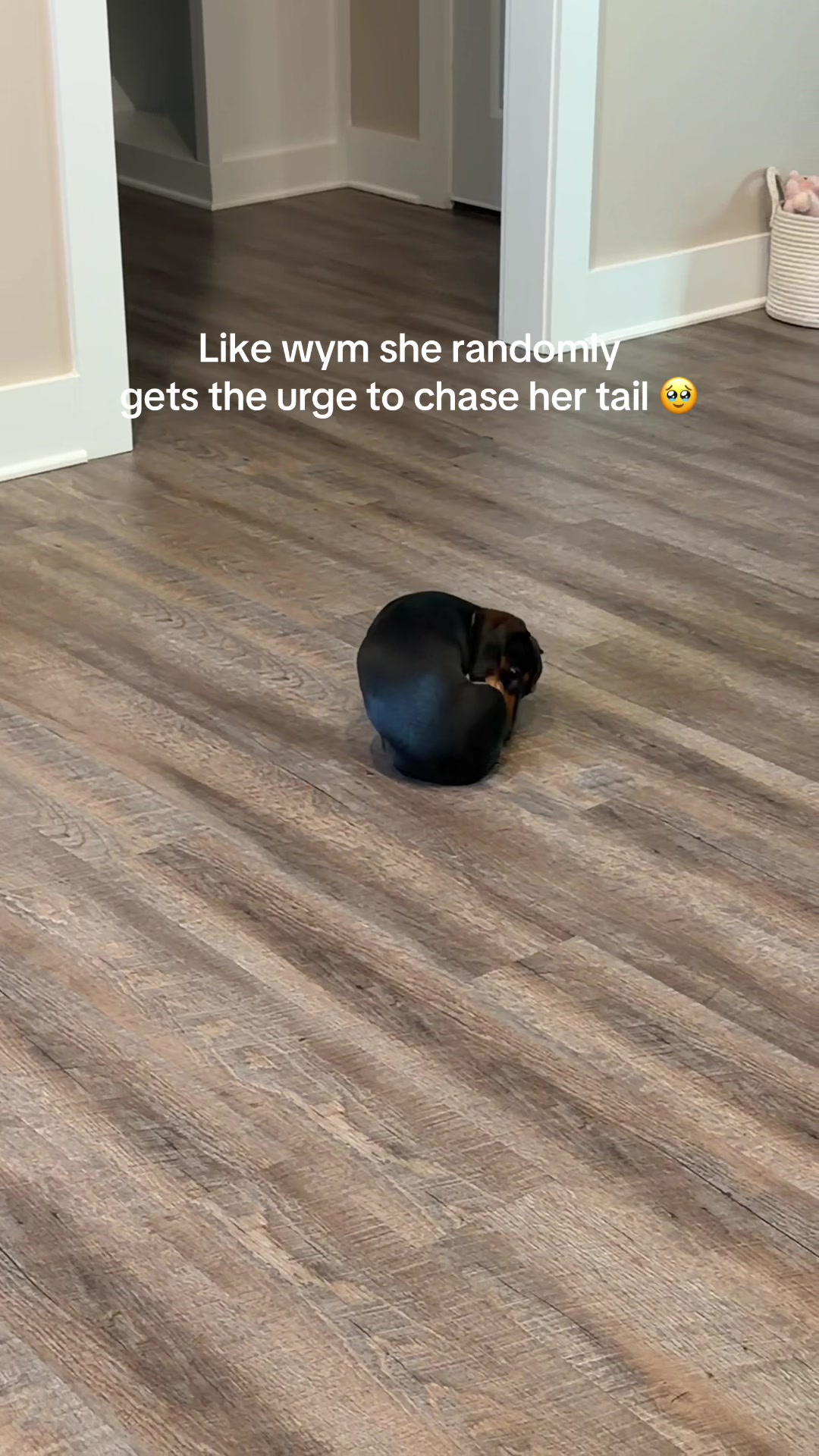 @𝒉𝒆𝒂𝒕𝒉𝒆𝒓 🎀